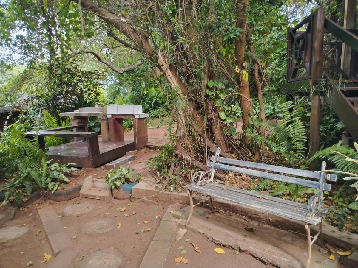 Beach Wood Cottages Shelly Beach Exterior photo