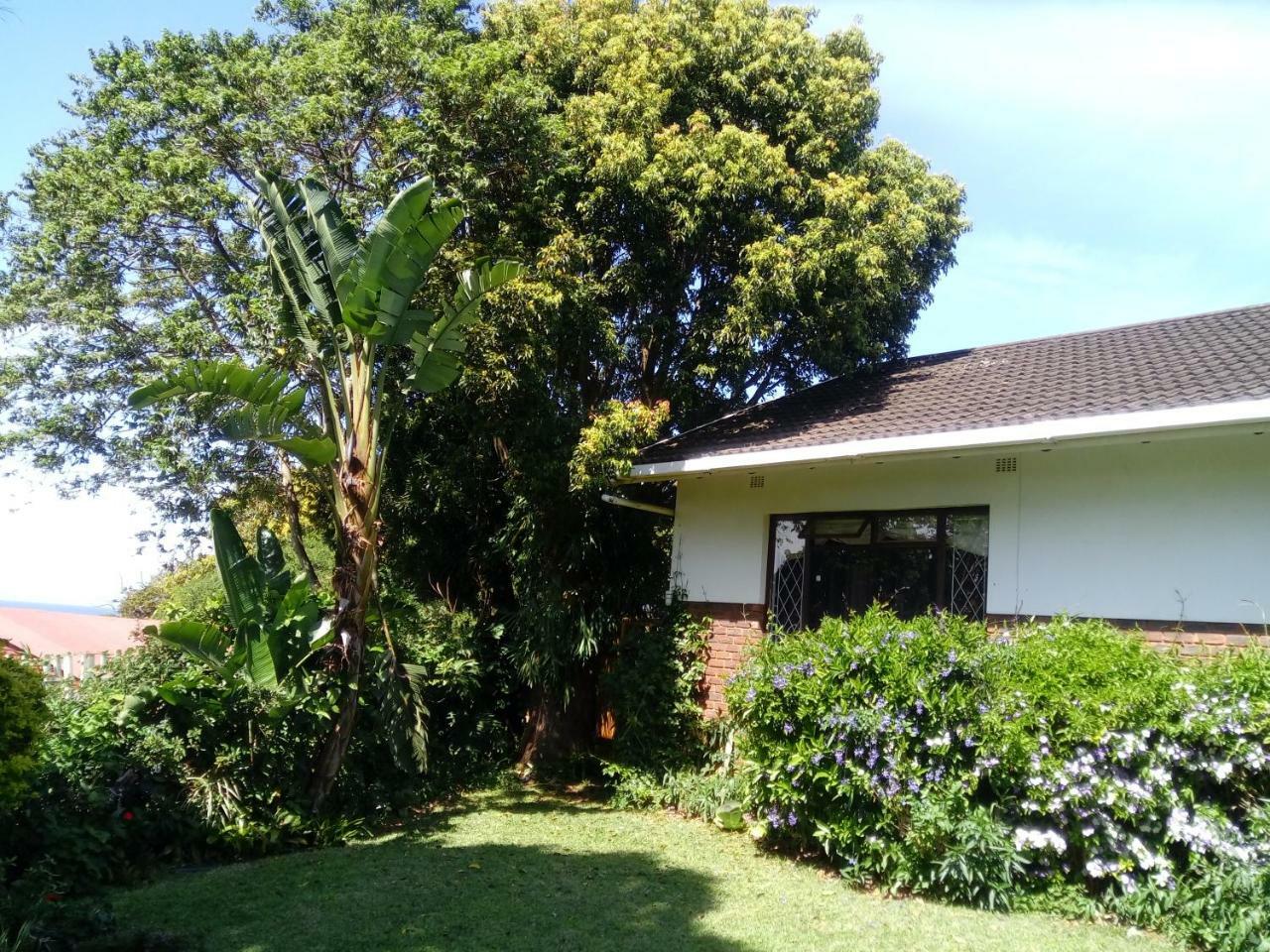 Beach Wood Cottages Shelly Beach Exterior photo